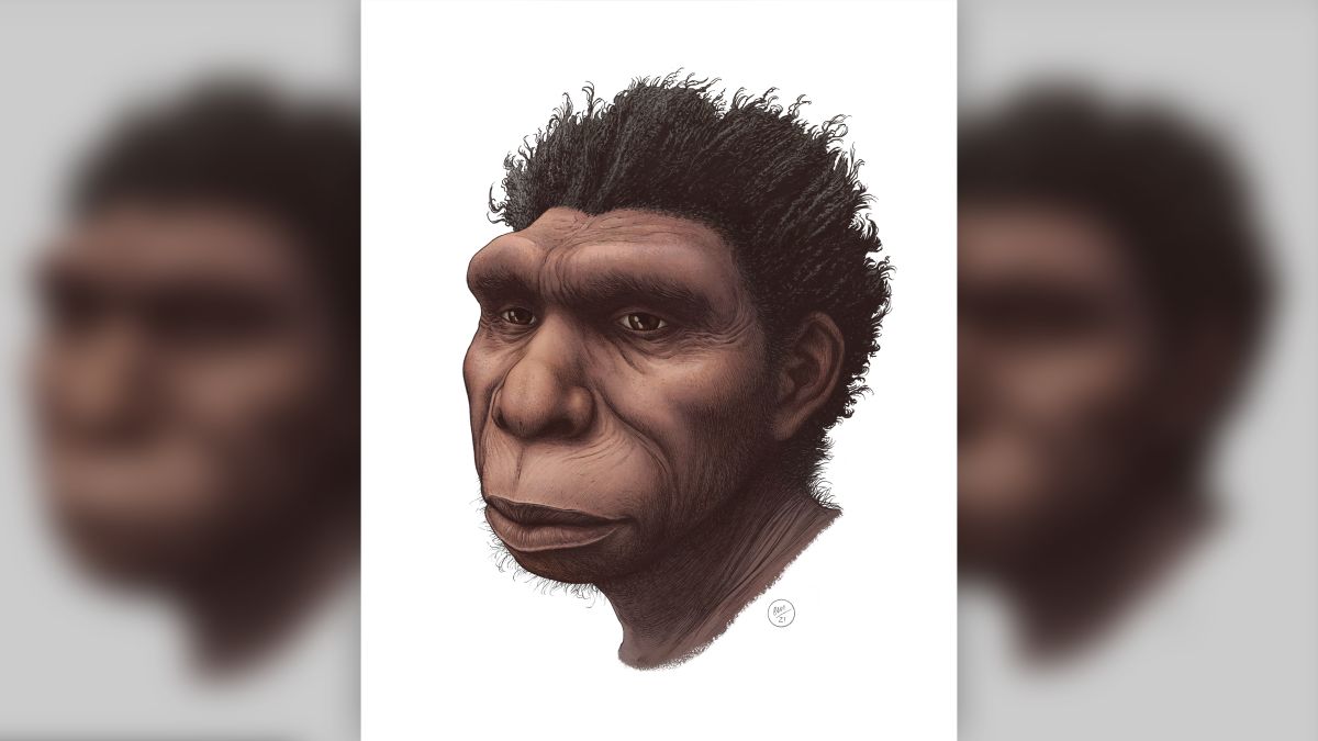 Modern İnsanın En Yakın Atası Homo Bodoensis