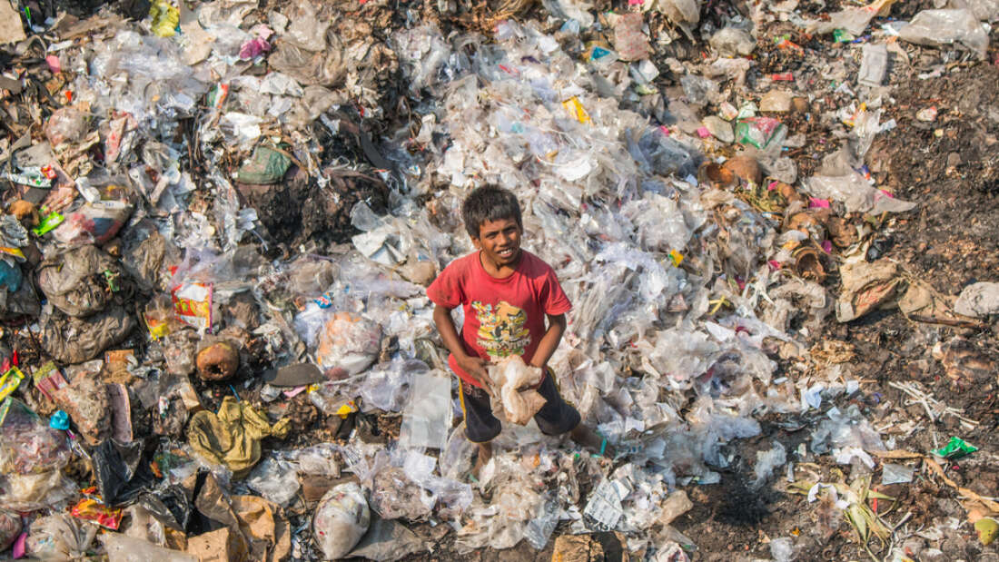 Mikroplar Plastik "Yemek" İçin Evrimleşiyor