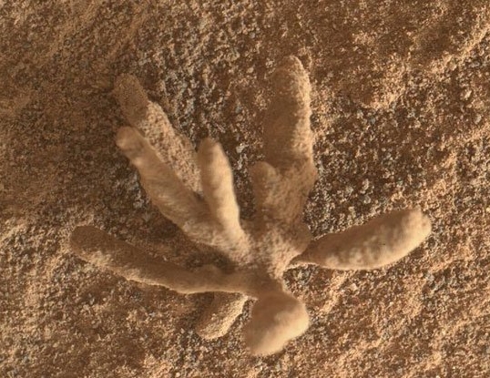 Curiosity Rover, Mars'taki Minik ve Hassas Bir Mineral 'Çiçeğinin' Fotoğrafını Çekti