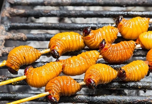 Böcek Yemek, Çevreye Düşündüğümüzden Daha Fazla Fayda Sağlıyor Olabilir