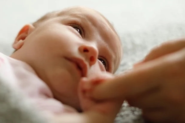Hamile Kadınları COVID İçin Aşılamak, Bebeklerine Gelecekte Koruma Sağlıyor Olabilir