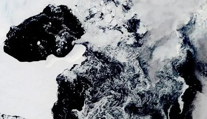 Antarktika'nın "En Soğuk Bölgesinde" Bir Buz Sahanlığı Çöktü