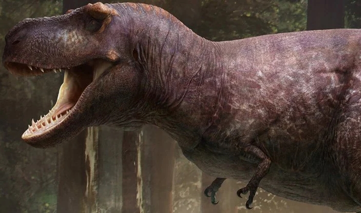 T. Rex'in Kolları, Diğer Dinozorlar Onu Isırmasın Diye Kısa Olabilir