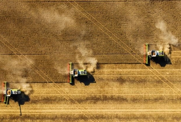 Hava Kirliliğini Azaltmak, Artan Nüfusu Daha Kolay Beslememize Yardımcı Olabilir