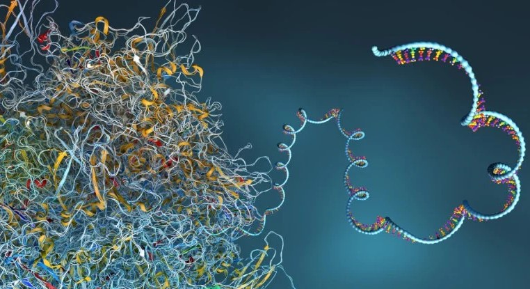 Bu Yapay Zekâ Şimdiye Kadar Bulunan Neredeyse Her Proteinin Yapısını Tahmin Ediyor