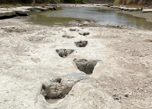 Kuraklık, Dinozor Ayak İzlerini Ortaya Çıkardı