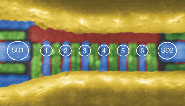 Yeni Bir Kuantum Hesaplama Sistemi Var: Silikonda 6-Qubit İşlemci Kontrolü