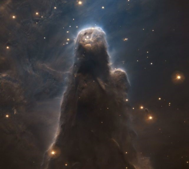 Bu Çarpıcı Karanlık Nebula, Yıldızları İzleyen Kozmik Bir Nöbetçiye Benziyor