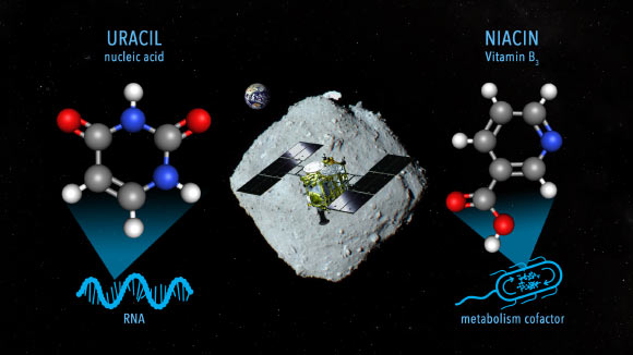 Bilim İnsanları, Asteroit Ryugu'dan Alınan Örneklerde B3 Vitamini ve Urasil Buldu