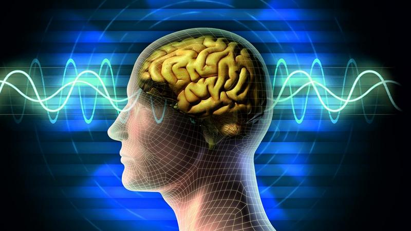 Beynimizin İşleyişinde Yeni Keşifler: Nörobilim