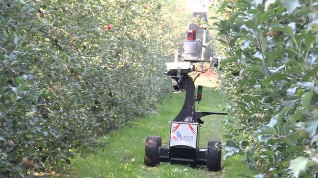 Avustralya Tarlalarında Elmayı Robot Yardımcılar Topluyor