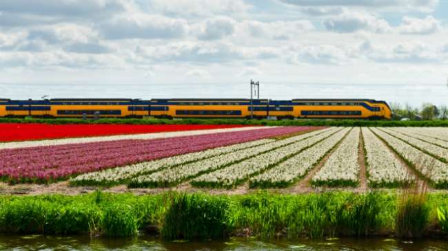 3 yıl içinde Hollanda’nın bütün trenleri sadece rüzgar enerjisiyle çalışacak