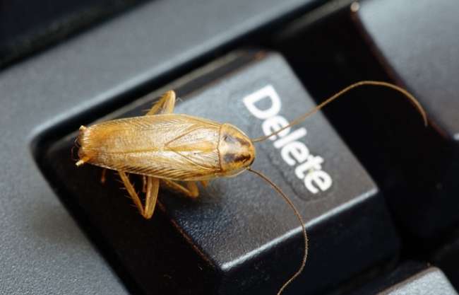 Böceklere DNA bilgisayar nakledildi
