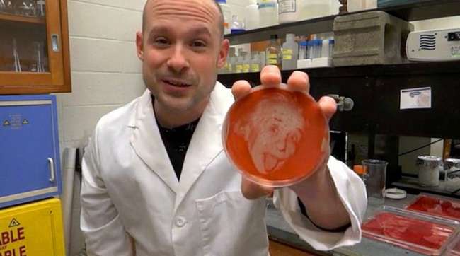 Bilimin Geldiği Son Nokta: Bakteriden Portreler Yapmak
