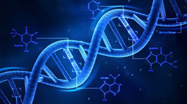 Türk bilim insanından kansere karşı DNA onarımı buluşu