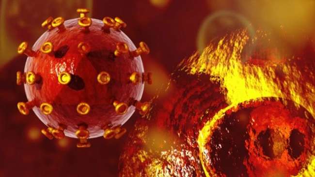 HIV virüsüne karşı savunma yerine saldırı taktiği