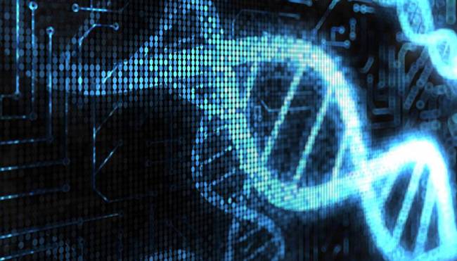 DNA Bilgisayarları