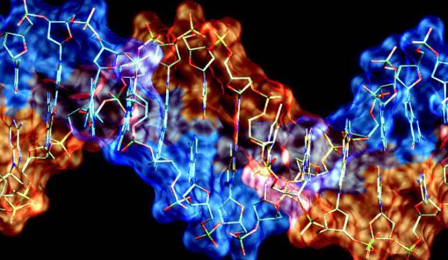 DNA ve RNA arasındaki büyük fark keşfedildi