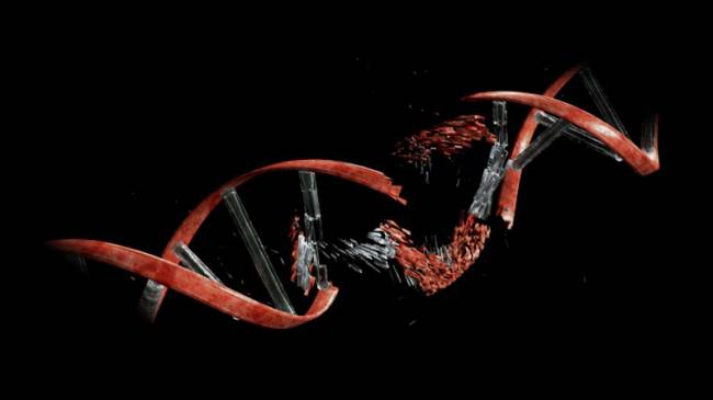 Sigaranın DNA ya Verdiği Zarar Haritalandırıldı
