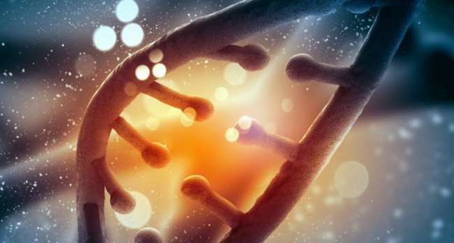 Hayattaki Yanlış Seçimleriniz DNA Yoluyla Gelecek Nesillere Aktarılabilir