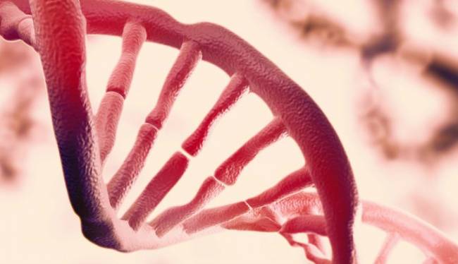 DNA’mızda Gizli Bir Bilgi Katmanı Bulundu