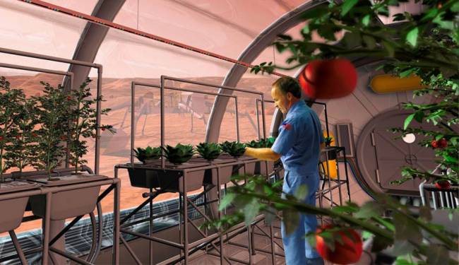 Mars Toprağında Bitki Yetiştirme Çalışmaları Devam Ediyor