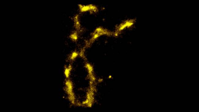 İlk Kez “Parlayan” DNA Görüldü